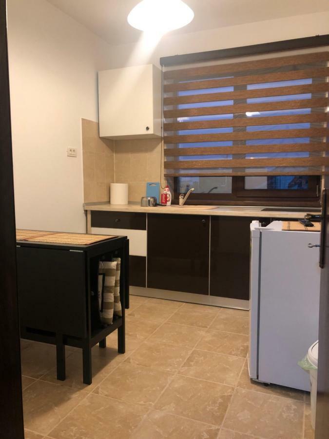 曼加利亚Casa Bozianu别墅 外观 照片