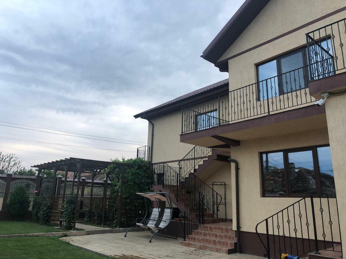 曼加利亚Casa Bozianu别墅 外观 照片